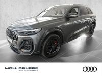 Audi SQ5 - Vorschau Bild 1