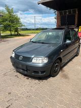 Volkswagen Polo 6n2 1.4 60PS mit Schiebedach und Gewi... - Volkswagen Polo mit Benzin-Antrieb: Kleinwagen, 60 Ps