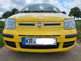 Fiat Panda - Fiat Panda Gebrauchtwagen in Krefeld