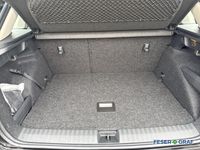 Skoda Kamiq - Vorschau Bild 6