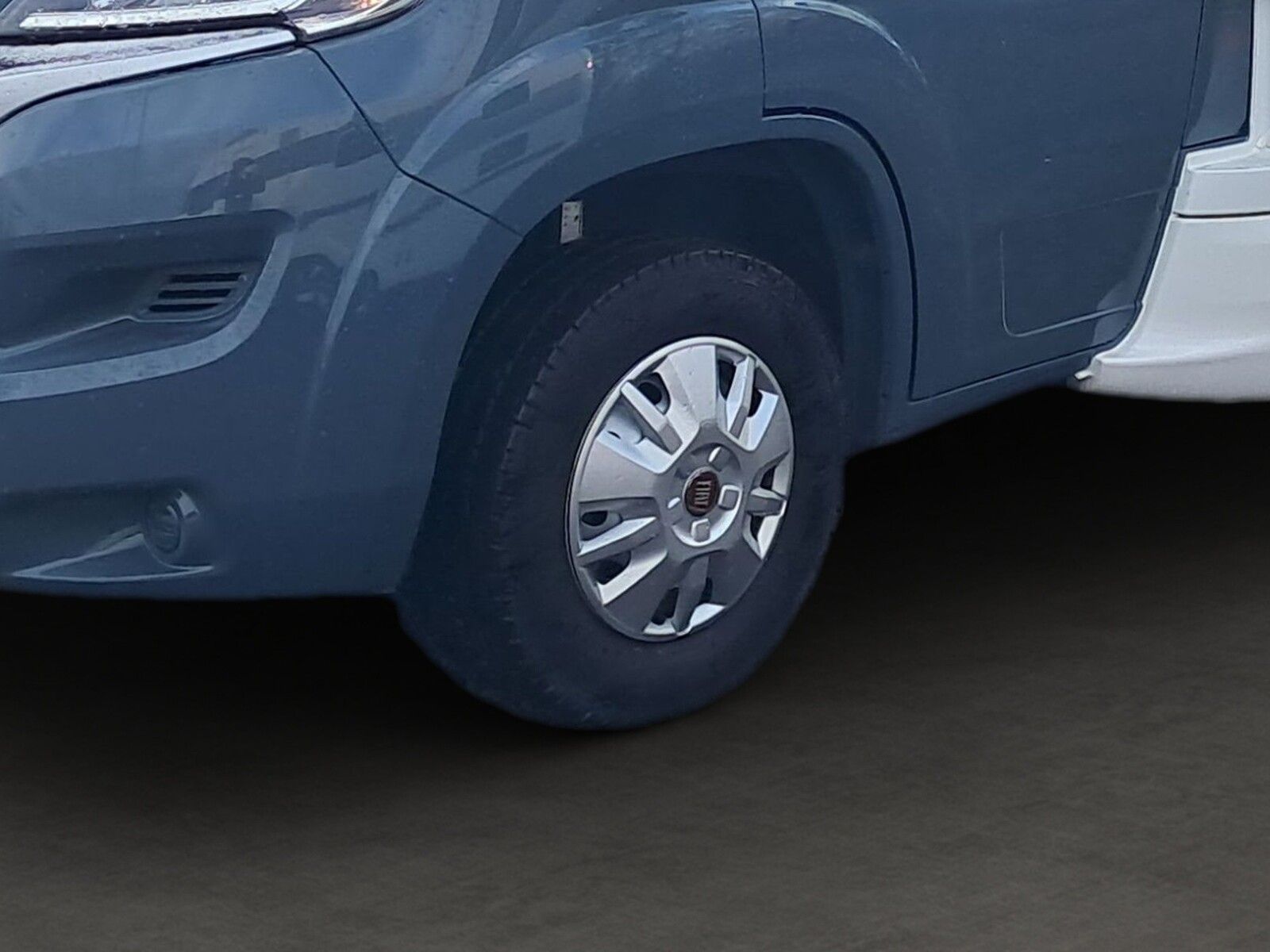 Fahrzeugabbildung Forster A 699 DVB Dörr Editionsmodell 2022