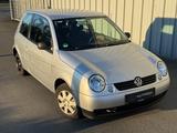 Volkswagen Lupo 1.0 Oxford *KLIMA*TÜV NEU* - Volkswagen Lupo Oxford mit Benzin-Antrieb