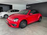 Volkswagen Beetle 1.2 TSI Cabriolet Sound*Navi*Bi-Xenon* - gebrauchte VW Beetle aus dem Jahr 2017