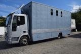 Iveco 80E15 Eurocargo *Pferdetransporter*4 Pfeder - Iveco 80 e 15