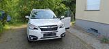 Subaru Forester 2.0X Exclusive Exclusive - Subaru Forester in Dresden