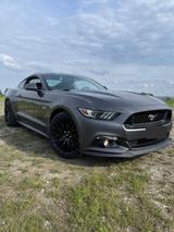 Ford Mustang 5.0 Ti-VCT V8 GT  - Ford Mustang in Hamm