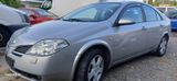 Nissan Ich biete meinen Nissan an - Nissan Primera: Privatanbieter
