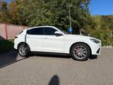 Alfa Romeo Stelvio 2.0 Turbo 16V 206kW Super AT8-Q4 Super - gebrauchte Alfa Romeo Stelvio aus dem Jahr 2019