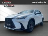 Lexus NX 350h *EXECUTIVE*4X4*PANO*HUD*15JH.-GARANTIE* - Lexus NX 350h Neuwagen