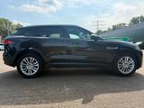 Jaguar F-Pace - Jaguar F-Pace in Duisburg