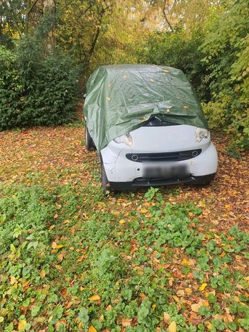 Smart Fortwo Voll fahrbereit