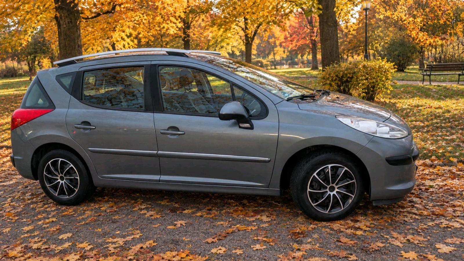 Peugeot 207 2011 — rear view