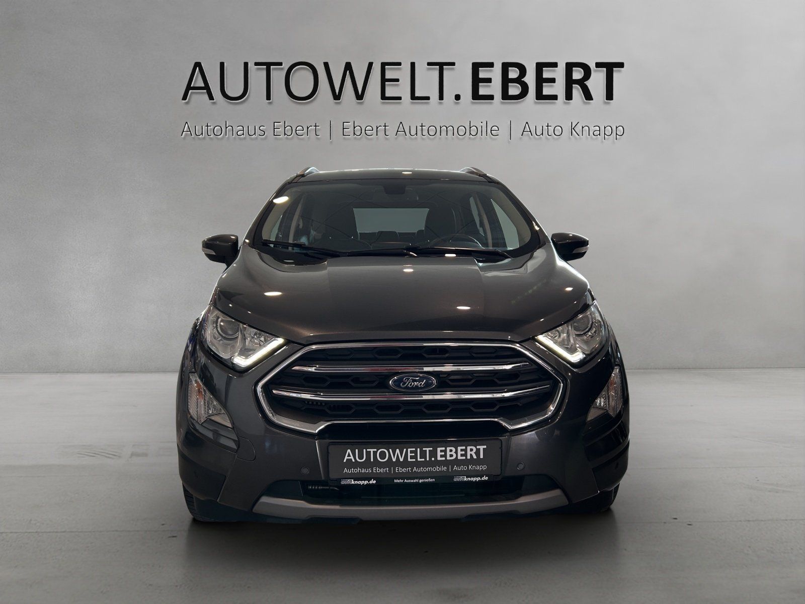 Fahrzeugabbildung Ford EcoSport 1.0 EcoBoost Titanium
