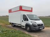 Fiat Ducato Kofferaufbau / Transporter / Lieferwagen - Lieferwagen gebraucht