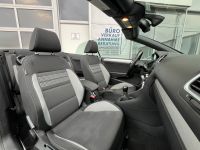 VW Golf Cabriole 2.0 TDI LIFE 2.HD SHZ NAV PDC 17