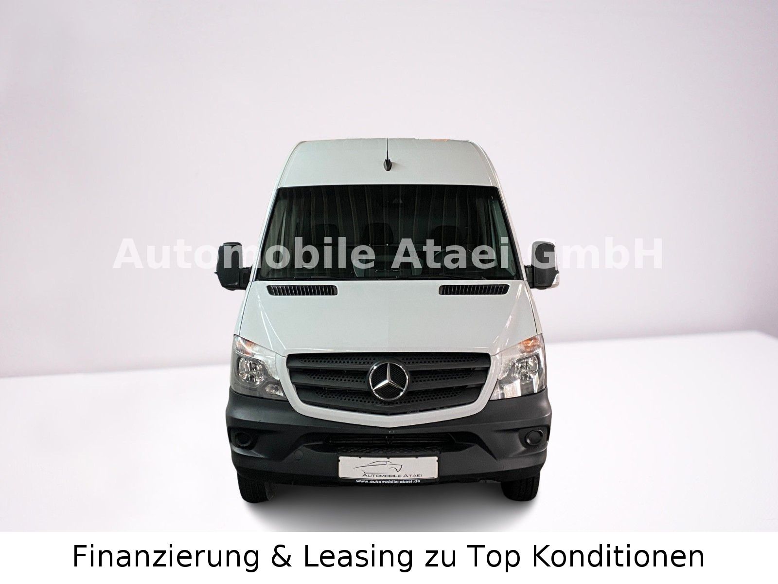 Fahrzeugabbildung Mercedes-Benz Sprinter 516 CDI *MAXI* WERKSTATT+ AHK  (9207)