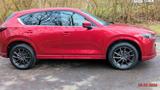 Mazda CX5 Sports-Line Plus AWD AHK LED Bose - Mazda CX-5 mit Panoramadach