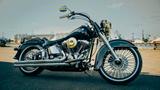 Harley-Davidson Softail Deluxe FLSTNI Schwarz und Gold! - HARLEY-DAVIDSON 2005 SOFTAIL DELUXE