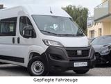 Fiat DUCATO 9-SITZER KOMBI 33-140 L2H2 *TOP ZUSTAND!* - Fiat Ducato: 14