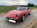 Alfa Romeo Spider Aerodinamica "Gummilippe" - Alfa Romeo Gebrauchtwagen von 1985