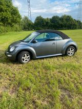Volkswagen VW Beetle Cabrio 2,0 l, 85 KW,142tKM,EZ.12... - Volkswagen Beetle mit Benzin-Antrieb: 1.8