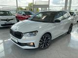 Skoda Fabia 1.0TSI Monte Carlo 17Zoll Sportfahrwerk R-