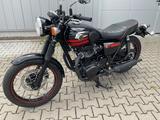 Kawasaki W800 Sondermodell 1. Hd. Topzustand - KAWASAKI 800