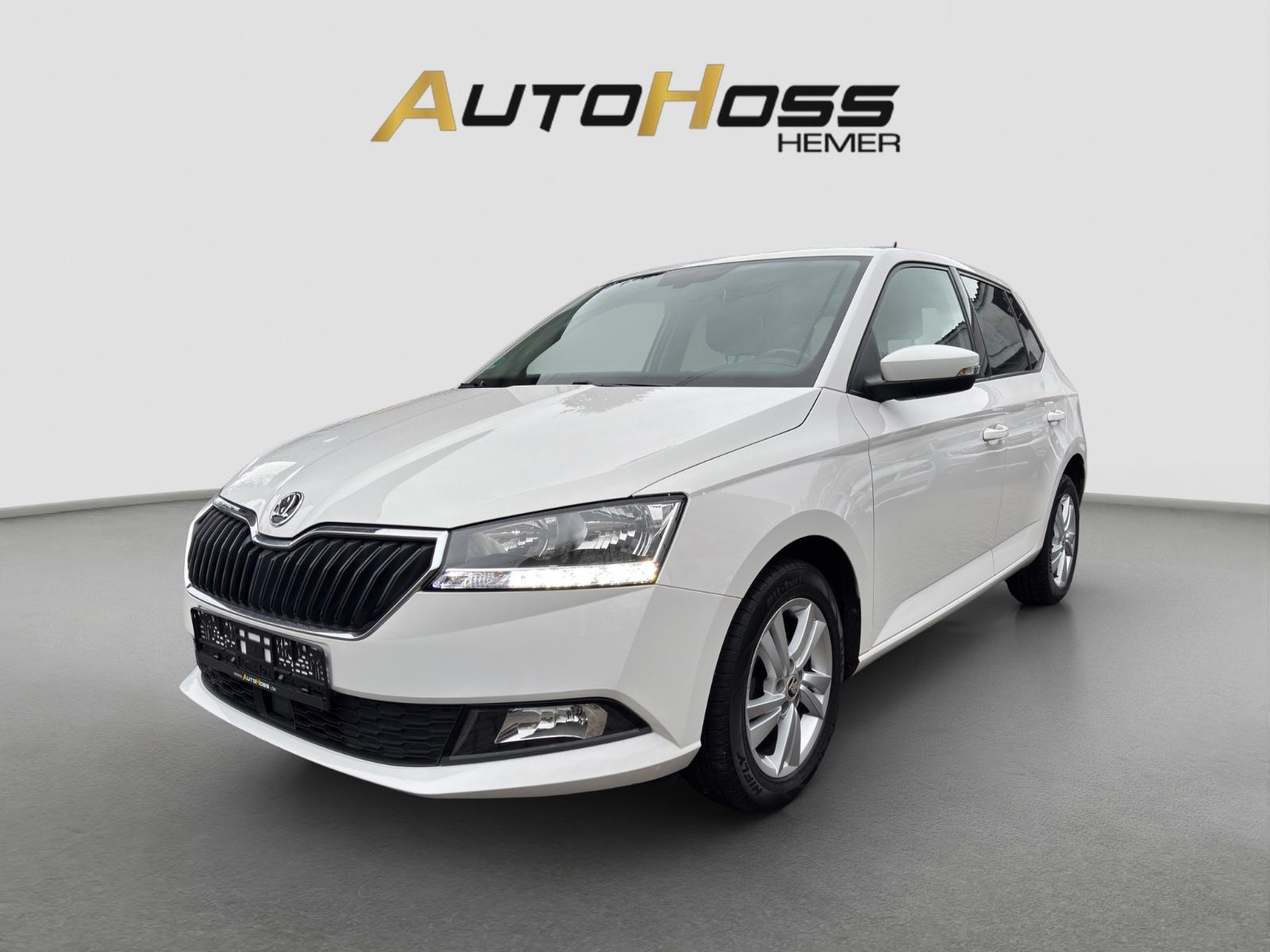 Skoda Fabia **Ambition** Klimaaut/Temp/Kamera/Allwette