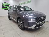 Hyundai Santa Fe 2.2 CRDi  / 4WD/ 7SITZER / PANO / LED / - Hyundai SANTA FE: Standheizung