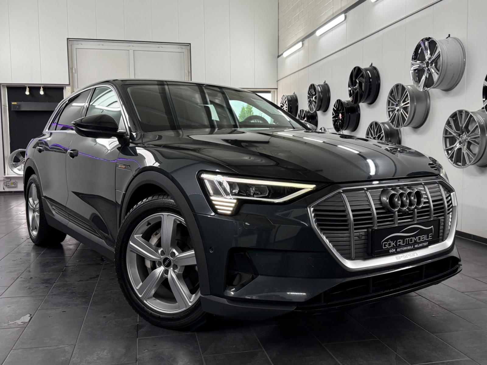 Audi e-tron 50 quattro HUD*AHK*MATRIX*360GRAD, миниатюра 8