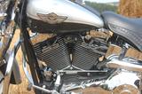 Harley-Davidson Heritage Springer 100th Anniversary 5HD... - HARLEY-DAVIDSON 2003 ANNIVERSARY