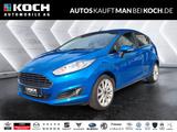 Ford Fiesta 1.0 EcoBoost Titanium WINTERPAKET KAMERA