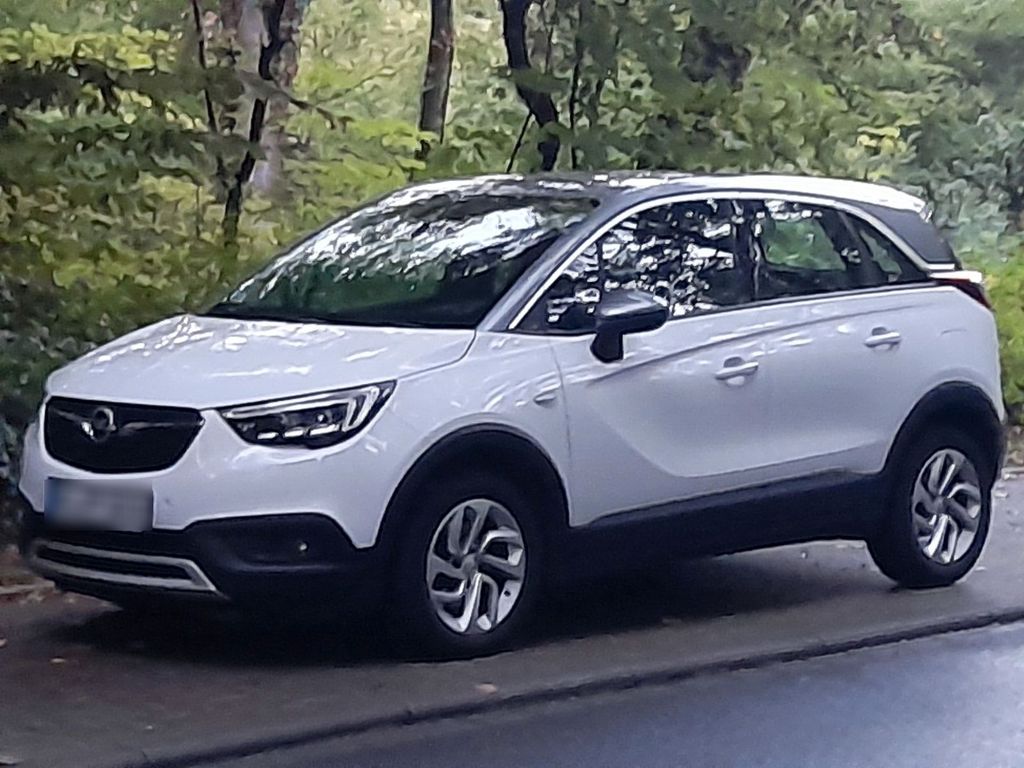 Image of Opel Other