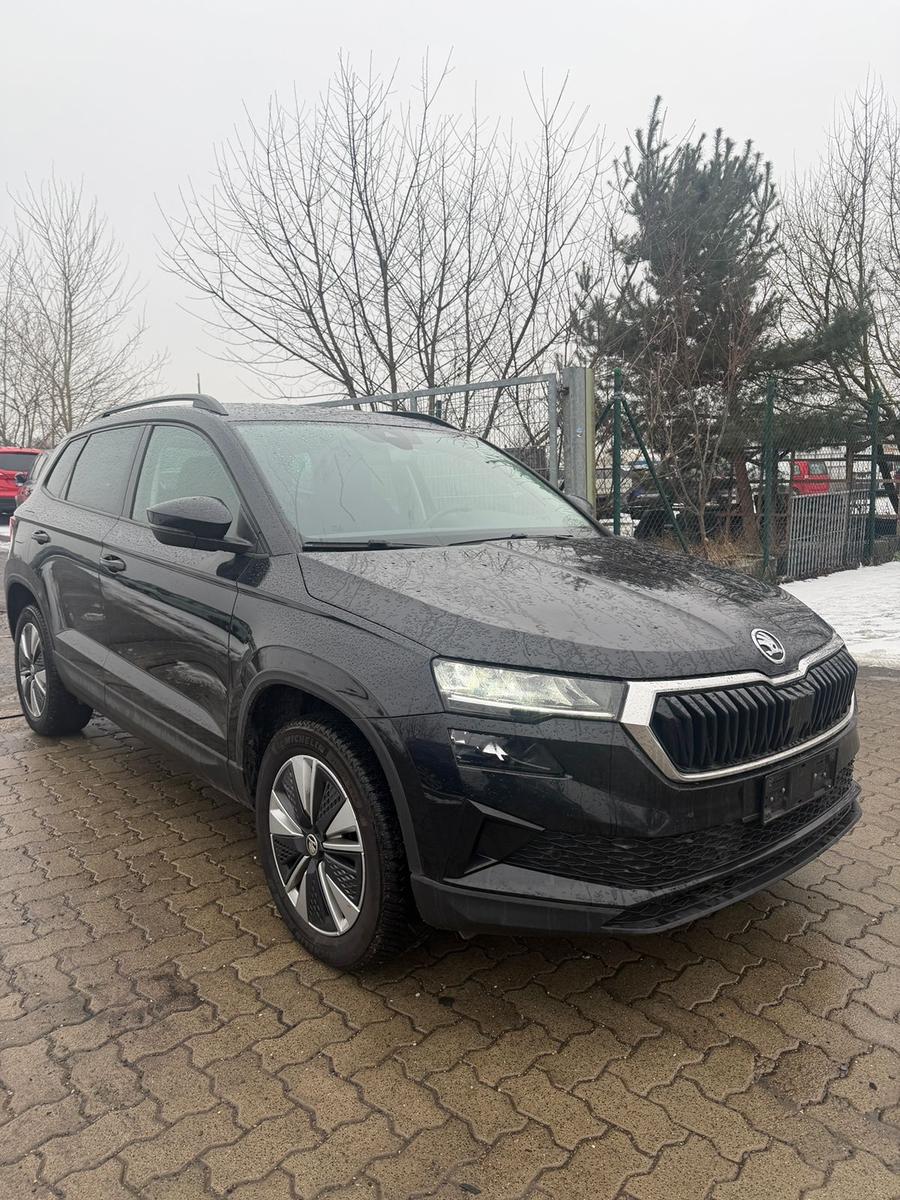 Skoda Karoq 2.0 TDI Ambition TÜV Neu