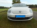 Volkswagen Beetle 2.0 TDI BMT Design Cabriolet Design - VW Beetle von privat