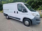 Fiat Ducato TÜV Neu  1.Hand - Fiat Ducato in Essen