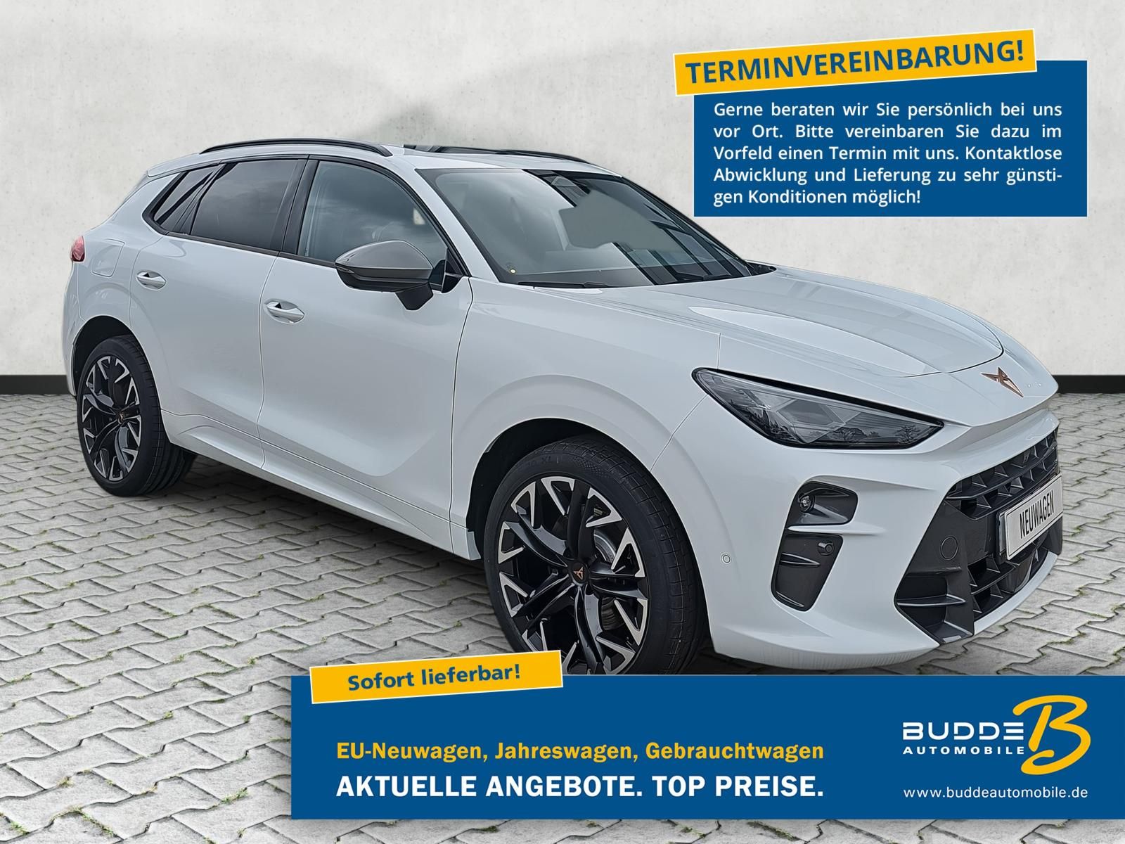 Cupra Terramar VZ 2.0 TSI DSG 4Drive Navi / AHK / Pano