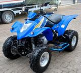 Kymco GXR 250 Sport 1 Hand nur 671 KM - KYMCO QUAD 250