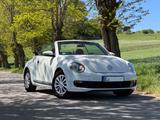 Volkswagen VW Beetle Cabriolet | elektr. Verdeck | Sitzhzg.