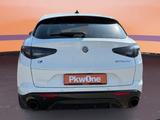 Alfa Romeo Stelvio 2.2 16V AT8 Veloce *Allrad *ACC - scheckheftgepflegte Alfa Romeo Gebrauchtwagen