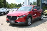 Mazda CX-30 G 2.0 Aut. Selection DESIGN-/PREMIUM-P/AHK - Mazda CX-30 in Essen