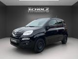 Fiat Panda Easy 1.2 51kw E6D-TEMP - gebrauchte Fiat Panda aus dem Jahr 2020