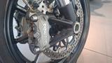 Ducati Scrambler 1100 Dark Pro - Offers