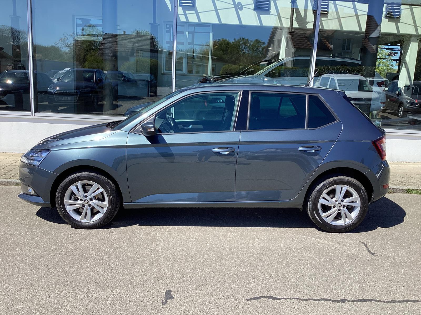 Skoda Fabia 1.0 TSI DSG Style/GRA/LED/SHZ/Kamera/App