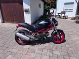 Ducati Monster 600 Dark Klassiker - MOTORRAD KLASSIKER