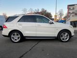 Mercedes-Benz ML 250 ML ML 250 CDI BlueTec - Mercedes-Benz ML 250 mit Diesel-Antrieb: Geländewagen, Automatik