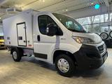 Fiat Ducato 2,3 Kühlkoffer Thermoking V300 Max -30C. - Fiat Ducato in Herne