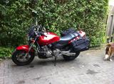Honda CB 600F Hornet, wenig km, sofort einsatzbereit - Angebote entsprechen deinen Suchkriterien