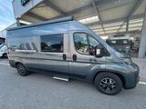 Carado CV 600 Entry - Carado Neu