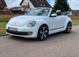 Volkswagen VW Käfer Cabrio (Beetle) , Leder, Lederper... - Volkswagen: Cabrio, Kaefer